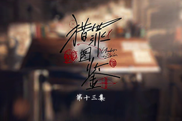 猎罪图鉴 13